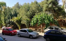 Lemontree